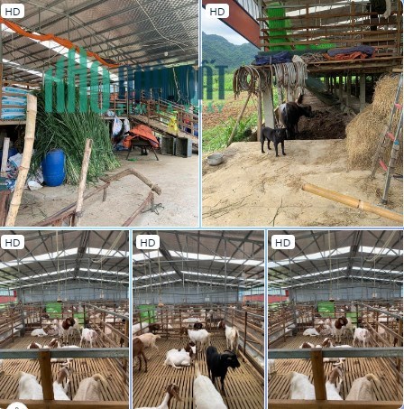 Chính chủ cần bán trang trại nhỏ xinh nằm tại Xã Kỳ Phú - Nho Quan - Ninh Bình.