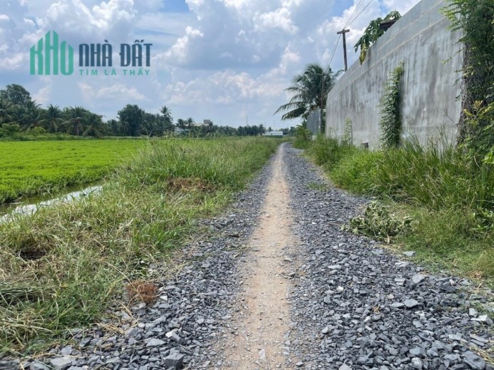 Sở Hữu Ngay Lô Đất Vườn Mặt Tiền 50m Đường Ô Tô, Thân Cửu Nghĩa, Châu Thành, Tiền Giang