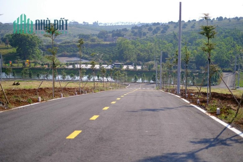 Đất nhà em bán có 3 đến 4tr /1m2. Còn đất người ta bán đã lên tới 15tr đến 20tr /1m2 rồi. Tại đường