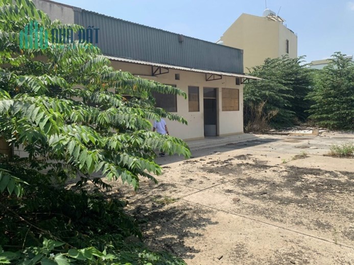 Cần bán Đất đẹp Thổ cư. Mặt tiền đường số  9, P. Linh Tây, Diện tích 920m², Giá 60 Tỷ