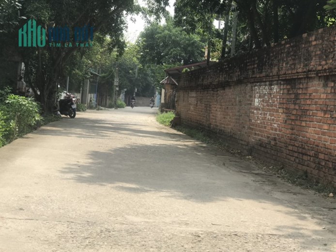 101M KIM BÔNG TÂN XÃ GIÁ ĐẦU TƯ