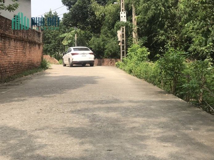 101M KIM BÔNG TÂN XÃ GIÁ ĐẦU TƯ