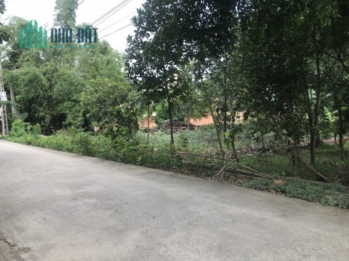 101M KIM BÔNG TÂN XÃ GIÁ ĐẦU TƯ