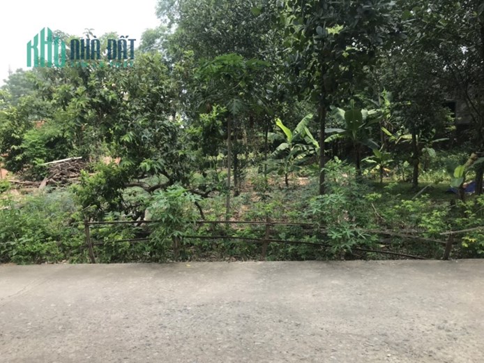 101M KIM BÔNG TÂN XÃ GIÁ ĐẦU TƯ