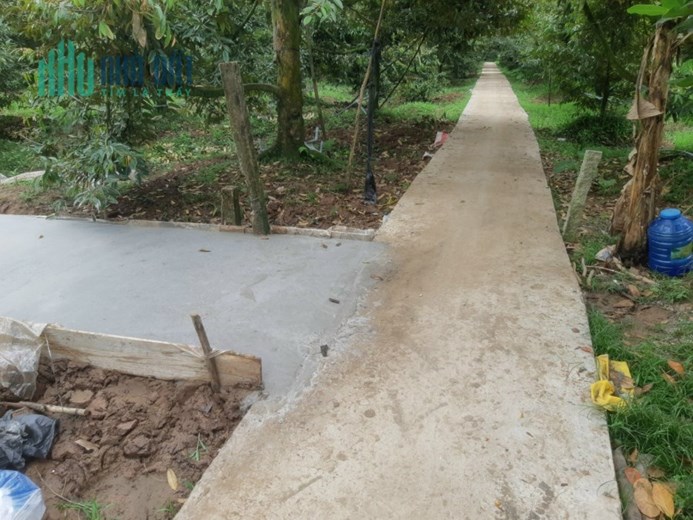 Bán gấp 6679 m2 đất sầu riêng đang cho trái, ấp Long Quới, x. Ngũ Hiệp, h. Cai Lậy, Tiền Giang