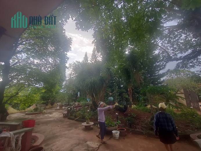 4,7 sào có 80m mặt tiền nhựa Martin cầu cường- Đất Full hồng, hai mặt tiền