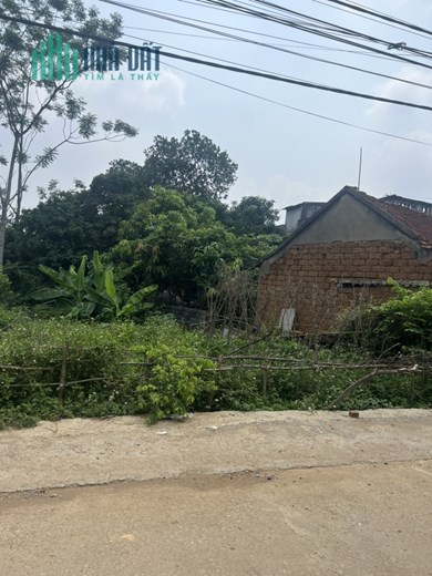 TRỤC CHÍNH CÁNH CHỦ GIÁ ĐẦU TƯ