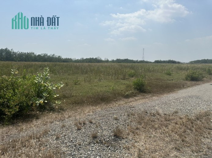 Đất KCN Phước Khánh, Nhơn Trạch Đồng Nai >10 hecta, kẹt tiền bán gấp 200 tỷ