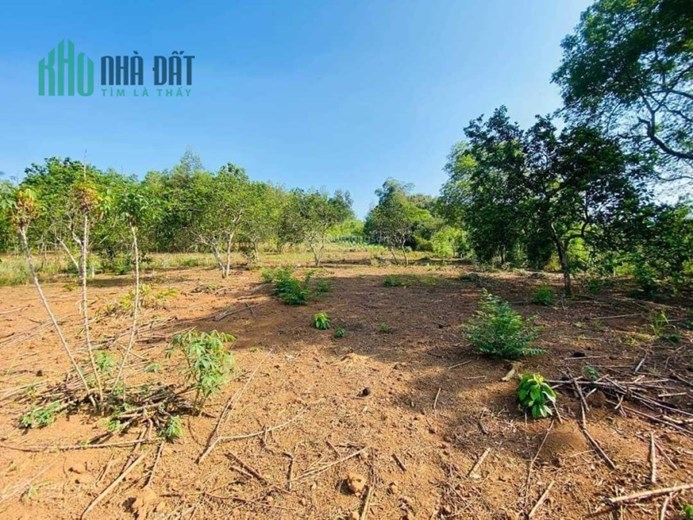 Bán đất thổ cư chính chủ tại Đường 446, Xã Mông Hóa, Kỳ Sơn, tỉnh Hòa Bình