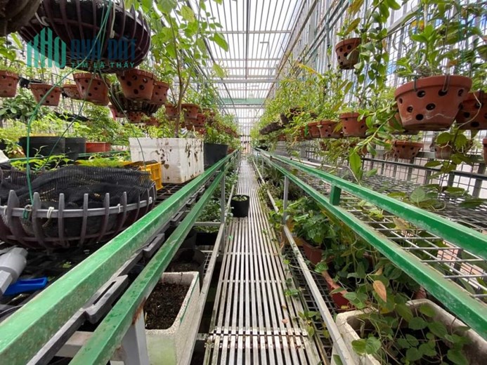 Bán Nhà HXT Thông Tô Hiệu, Tân Phú, 80m2, 5 Tầng Mới Tinh, Nội Thất Đẹp, Nhỉnh 8 Tỷ TL.
