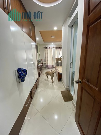 Khu Vip Tô Hiệu, Tân Phú, View công viên  – 4x20m, 5 tầng, chỉ 8.9 tỷ