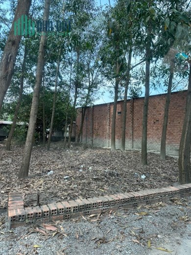 Bán 125.1m2 đất xã Long Phước, Long Thành, SHR, 1.35 tỷ. Lh:0797901100,
