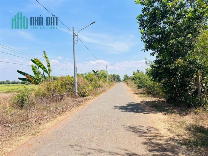 Bán gấp 4000m2 đất Mặt tiền đường tránh QL55 Đất Đỏ,BRVT giá rẻ