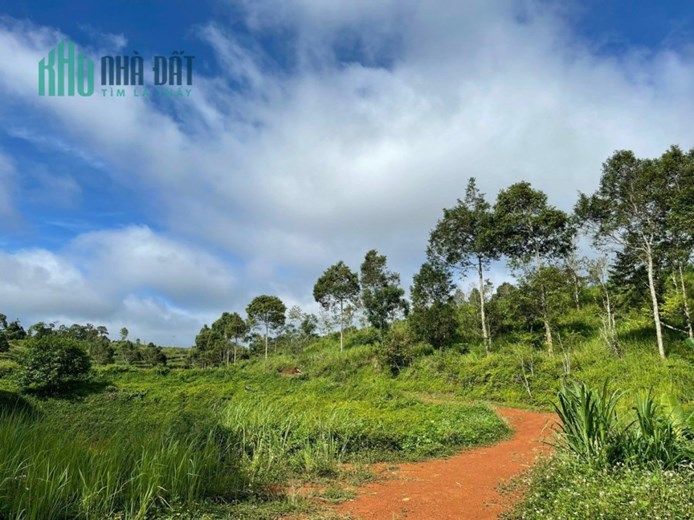 CẦN BÁN Khu Đất View Hồ Và Rừng Thông Cực Đẹp Tại Đắk Nông.