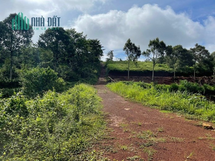 CẦN BÁN Khu Đất View Hồ Và Rừng Thông Cực Đẹp Tại Đắk Nông.