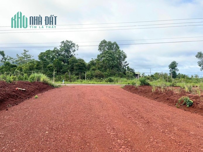 CẦN BÁN Khu Đất View Hồ Và Rừng Thông Cực Đẹp Tại Đắk Nông.