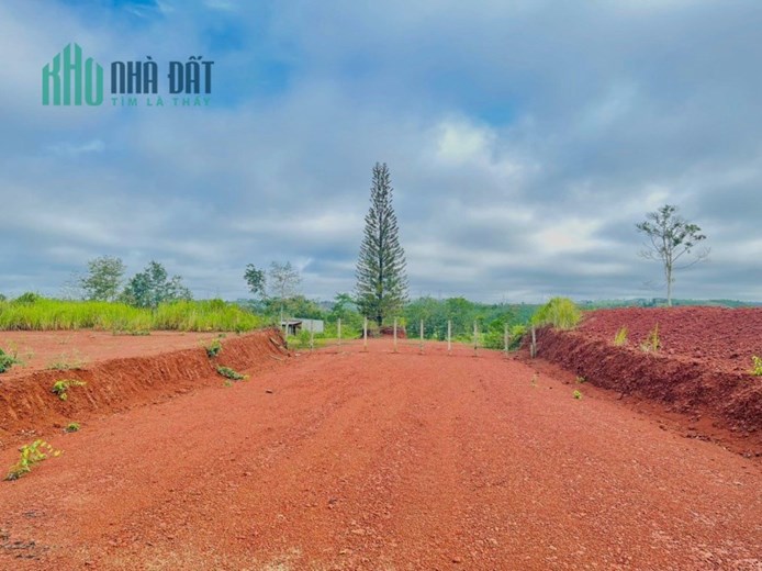 CẦN BÁN Khu Đất View Hồ Và Rừng Thông Cực Đẹp Tại Đắk Nông.