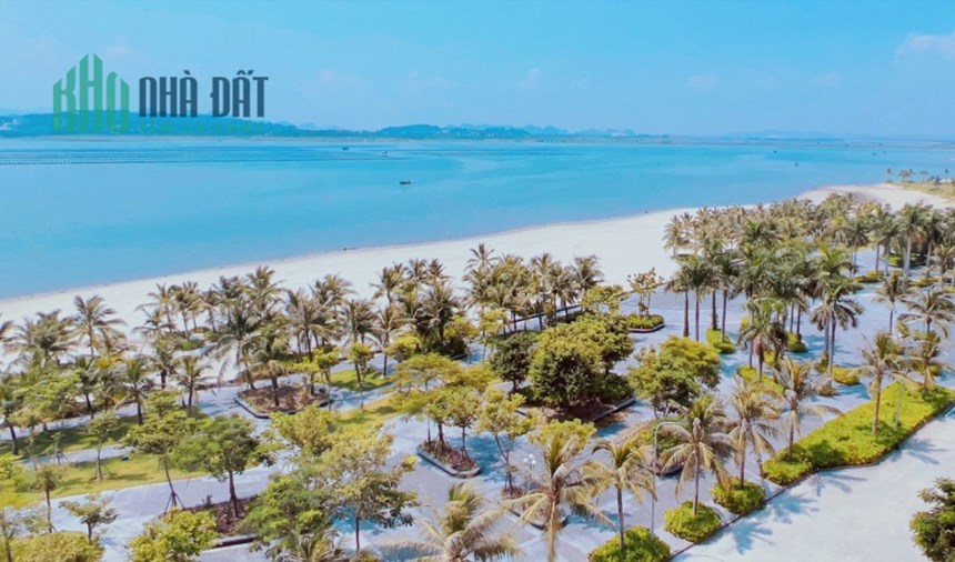 ALC HẠ LONG