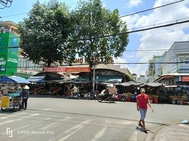 Chính chủ cần cho thuê nhà mặt tiền trong chợ Hiệp Tân, Phường Hiệp Tân, Tân Phú, Hồ Chí Minh