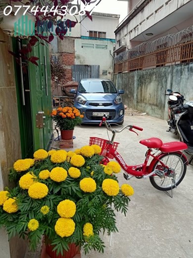 Bán Gấp Nhà 48m2, Đường Trần Kế Xương, Phường 3, Quận Bình Thạn, Giá Nhỉnh 8 Tỷ.