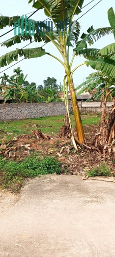 cần bán 300m2 thổ cư một nửa, đất 3 mặt tiền vuông như bánh trưng, đất thuộc kha sơn phú bình thái