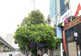 BÁN nhà 3 tầng 33m mặt phố ẩm thực Ao Sen, Mộ Lao - Mt miên man - KD ngày đêm Ô TÔ đỗ cửa