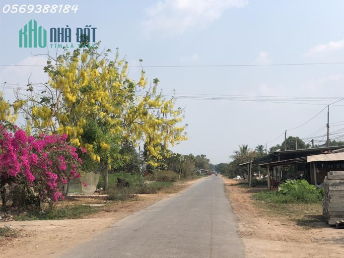 Gần 3 công đất vườn hơn 20m mặt tiền 360TR/SÀO Châu Thành - Tây Ninh