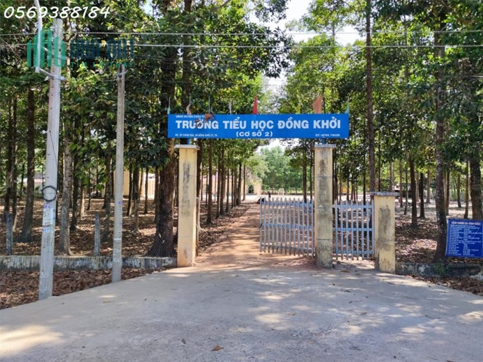 Gần 3 công đất vườn hơn 20m mặt tiền 360TR/SÀO Châu Thành - Tây Ninh