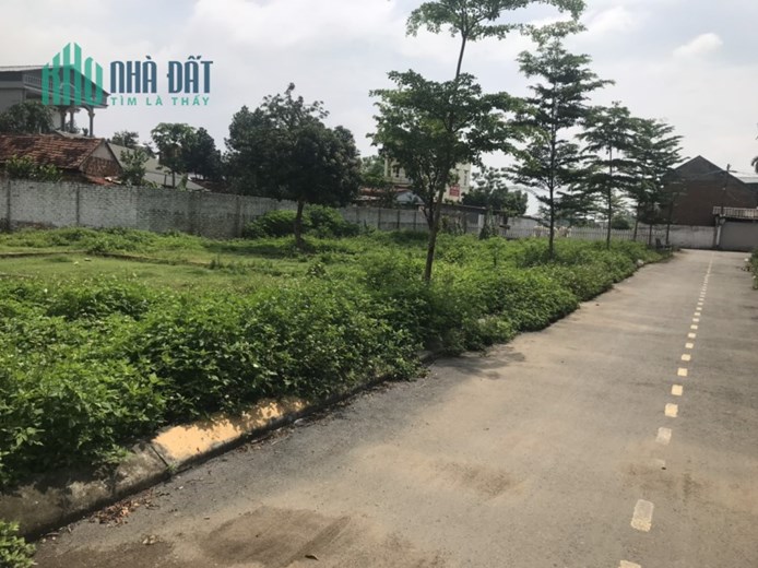 60M GIÁ NHỈNH TÍ TI