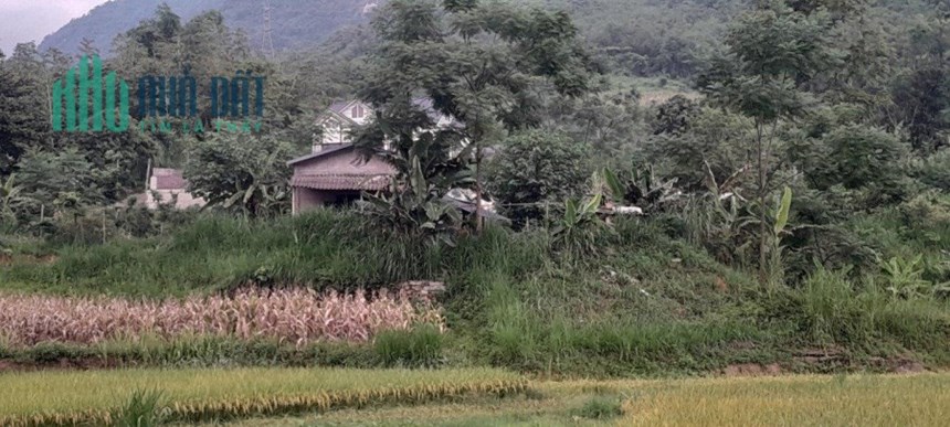 Cần Bán Gấp Lô Đất Vị Trí Đẹp View Đồi Núi Tại Lào Cai - ĐẤT CHÍNH CHỦ