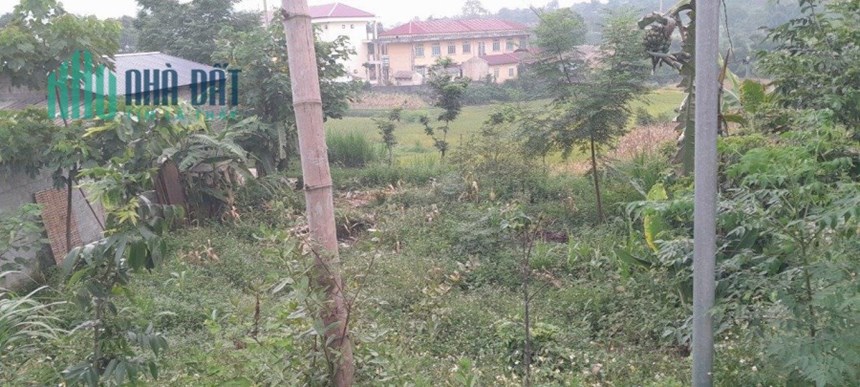 Cần Bán Gấp Lô Đất Vị Trí Đẹp View Đồi Núi Tại Lào Cai - ĐẤT CHÍNH CHỦ