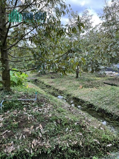 Chính Chủ Bán Lô Đất Vị Trí Đẹp Mặt Tiền Lộ 74 Cầu Cây Da