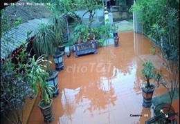 Bán đất TC đang ở sổ chính chủ Cẩm Khê - Phú Thọ