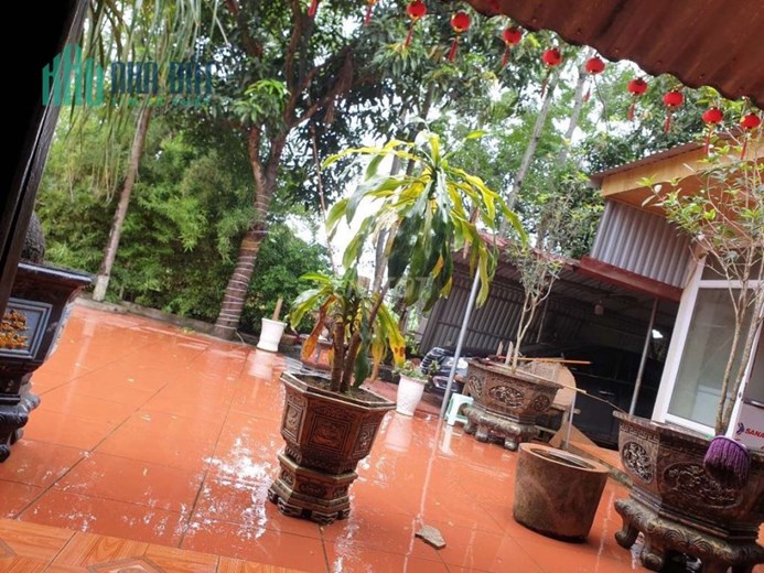Bán đất TC đang ở sổ chính chủ Cẩm Khê - Phú Thọ