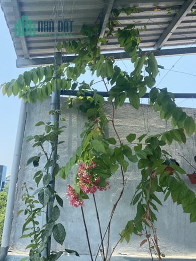 💥💥CHÍNH CHỦ BÁN NHÀ 4 TẦNG ĐƯỜNG HÀ MỤC💥💥