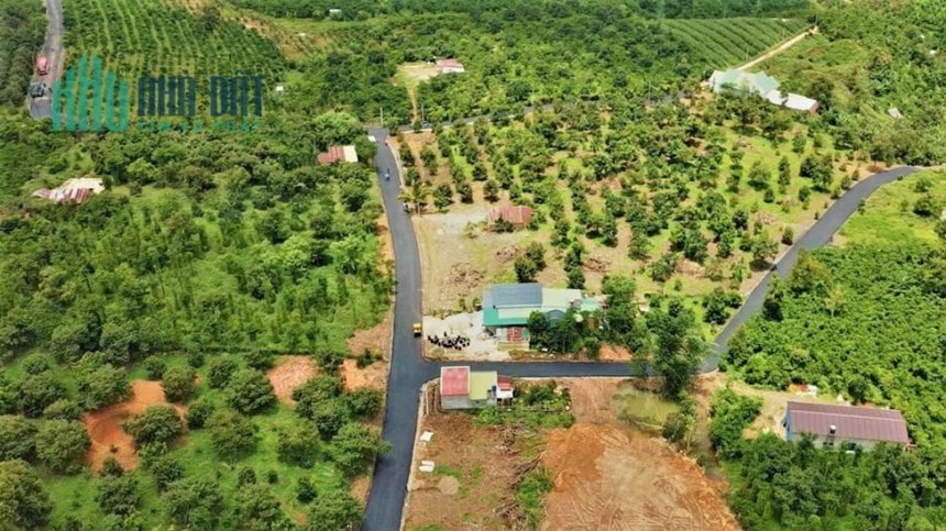 Bán đất ngay ủy ban Tân Lạc- Bảo Lộc  có sẵn vườn sầu riêng, đất đã lên thổ cư xây nhà tự do giá