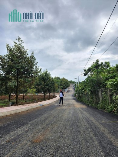 Bán đất ngay ủy ban Tân Lạc- Bảo Lộc  có sẵn vườn sầu riêng, đất đã lên thổ cư xây nhà tự do giá