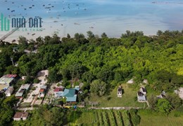 Đất đảo Cô Tô giá rẻ tiềm năng sinh lời lớn