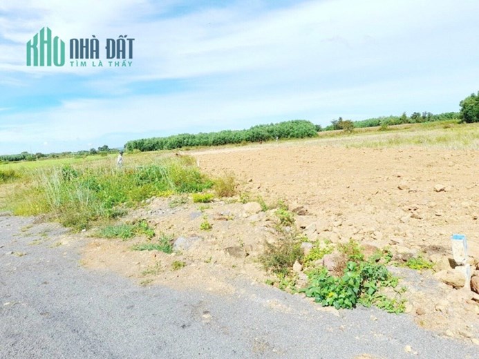 Bán 2 sào đất đẹp 19.5m x 92m (2000m2) Xã Phước Long Thọ, Đất Đỏ - Giá 2 Tỷ