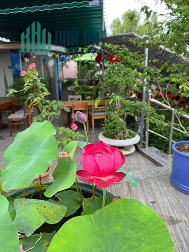 Chính chủ sang nhượng gấp Quán Cafe  162 Bà Triệu, TP Kon Tum.