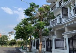 NHÀ MẶT TIỀN ĐƯỜNG SỐ TÂN QUY, TRUNG GTAAM QUẬN 7, 380m2, 3 TẦNG, 42 TỶ