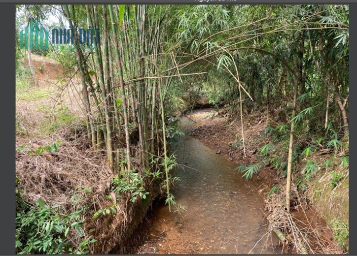 Cần bán nhanh lô Rẫy điều đất đỏ 1.5ha điện nước sổ hồng đầy đủ cho khách đầu tư- Vị trí: Suối