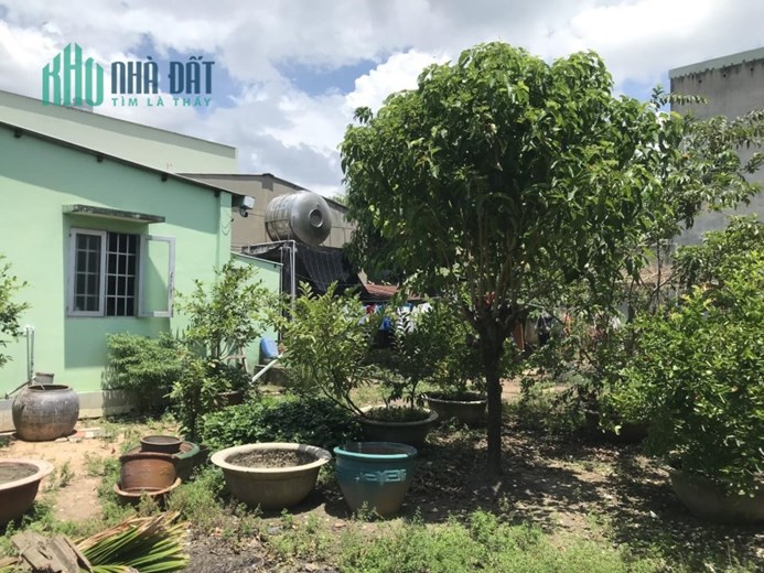 Bán đất tặng nhà, 516m2 đất có nhà cấp 4, HXH đường 11 Linh Xuân, Thủ Đức, giá chỉ 18,5 tỷ.