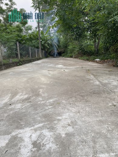 BÁN NHANH 3 LÔ ĐẤT HOÀ PHƯỚC DT LỚN ĐƯỜNG BÊ TÔNG 5M GIÁ RẺ SỤP HẦM
