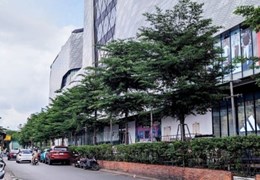 Bán Nhà Ngay Siêu Thị Gigamall Hiệp Bình Chánh Thủ Đức 221m2 16 Tỷ 5