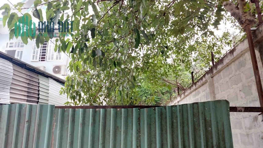 Giảm Sốc 1 Tỷ  Bán Đất Thổ Cư Linh Xuân Thủ Đức 120m2_ 5x24m, Hẻm Xe Tải, SHR Vuông Vức Chỉ 4.x Tỷ