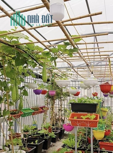 "Căn nhà Độc quyền - Nguyễn Chánh -  42m2, xây dựng tâm huyết, vị trí VIP, ngõ nông thoáng!"