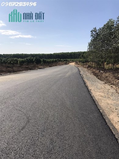 Có mỗi lô đất sào dưới xuân lộc cần bán trả nợ gấp