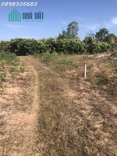 Tin được Không? Đất Xuân Lộc chỉ 234 nghìn/m2, sổ hồng riêng