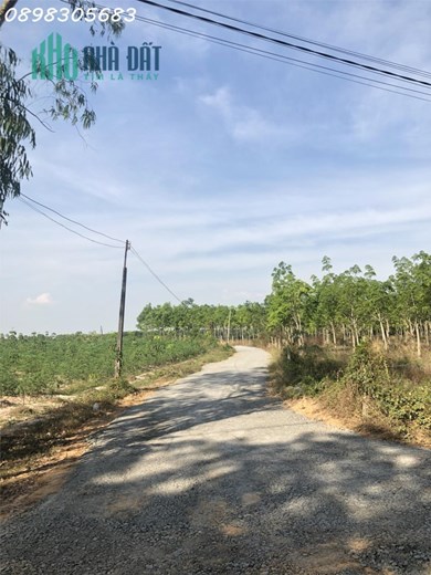 Còn hơn 1,5 sào đất vườn mặt tiền RỘNG, sổ riêng chỉ 472 nghìn/m2